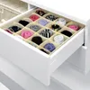CLOSET ORGANISER BOX FOR SOCKS AND UNDERWEAR, 20 compartments