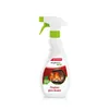 FIREPLACE GLASS CLEANER