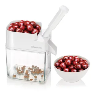 CHERRY STONER
